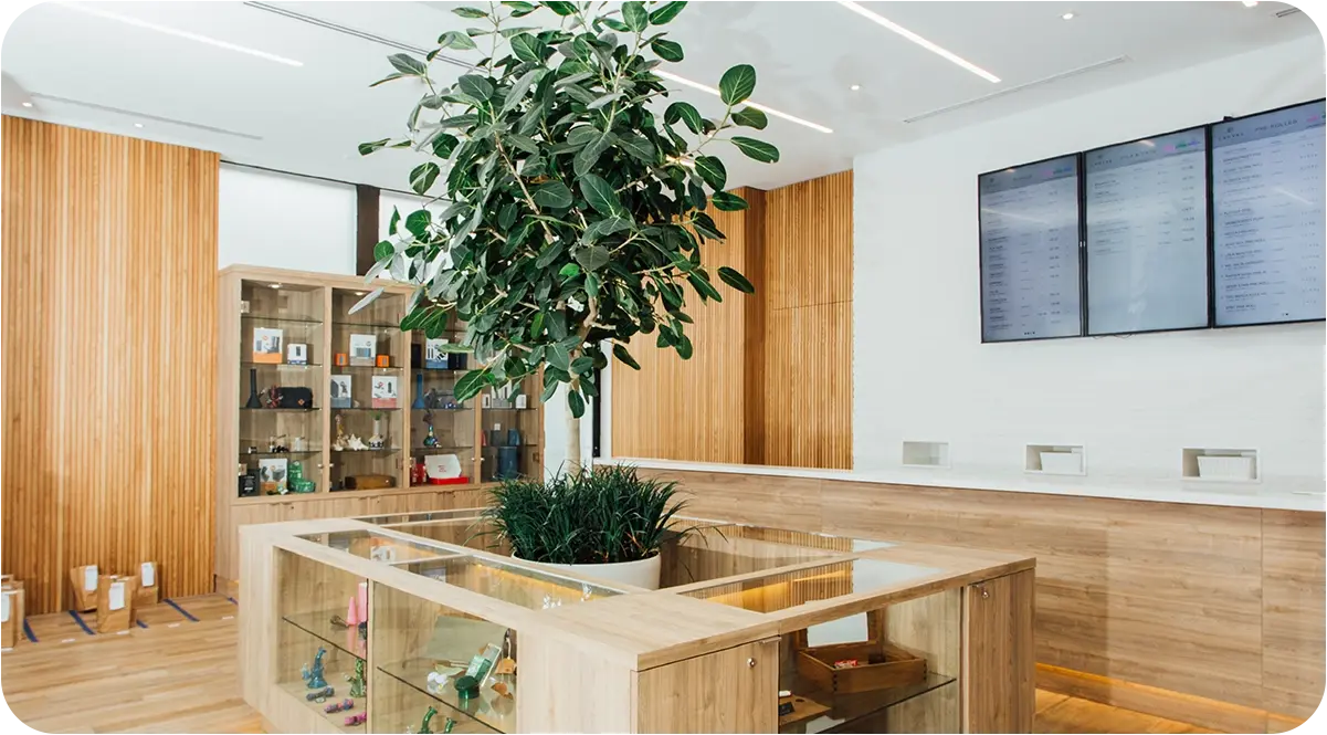 Weed shop uk – Your Online Cannabis Dispensary for Medical Marijuana